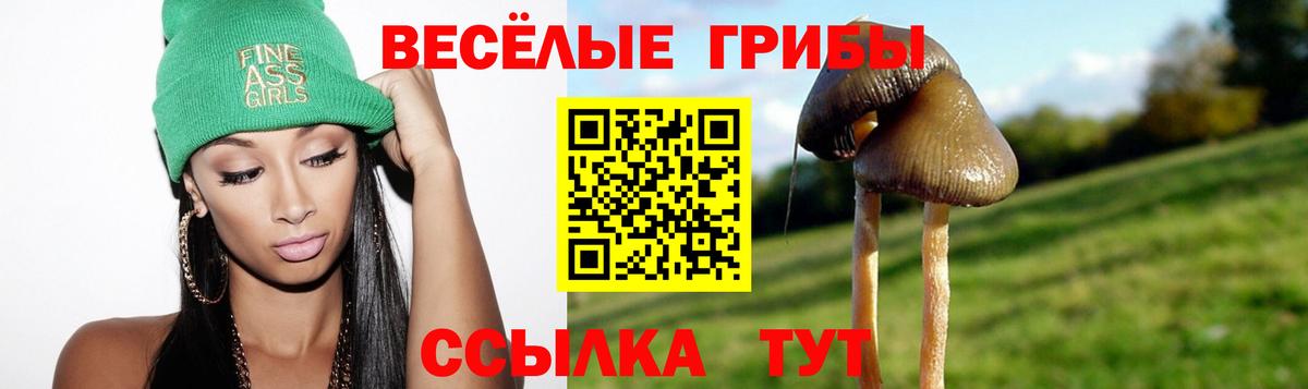 Галлюциногенные грибы мухоморы Гуково